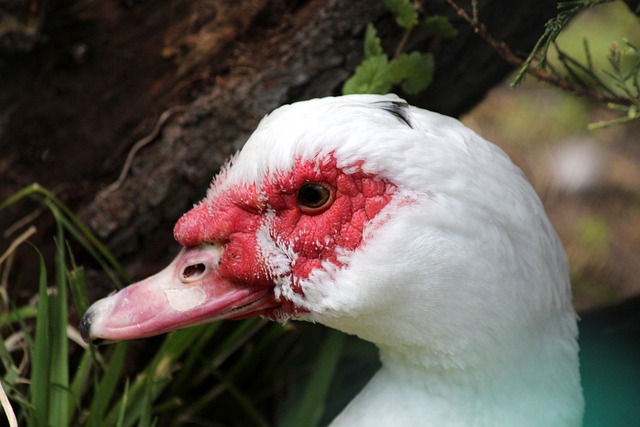 排名缘何仍 排名缘何仍