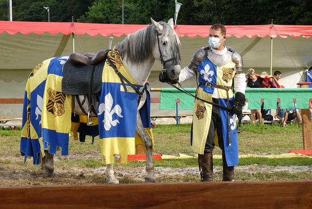 而這一策略 而這一策略