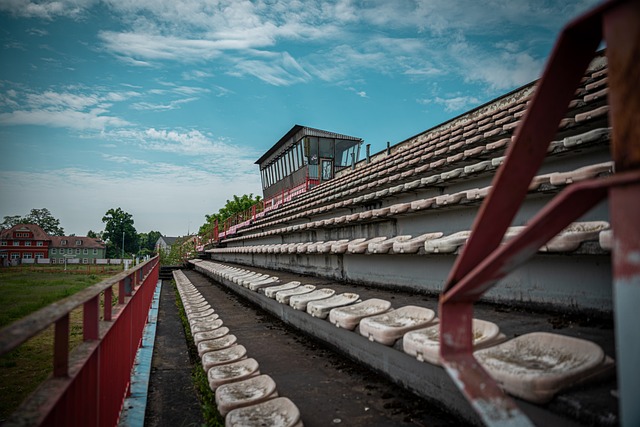 分评分意义 分评分意义