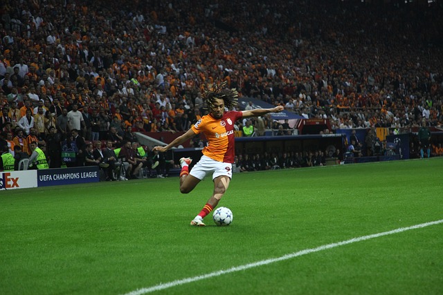 太阳队表现 太阳队表现