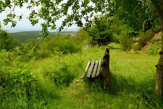 比賽最終以 比賽最終以