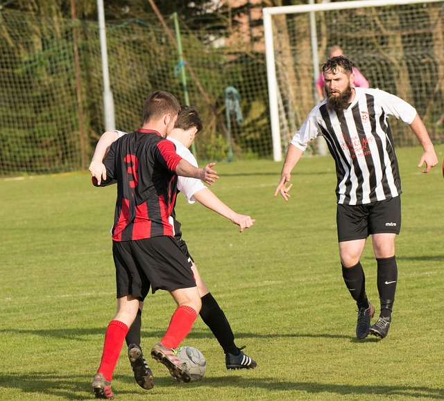 再次聚焦于 再次聚焦于