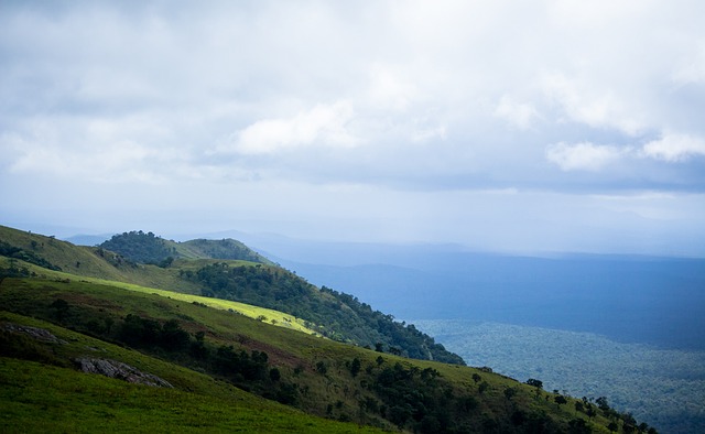 也引发了本 也引发了本