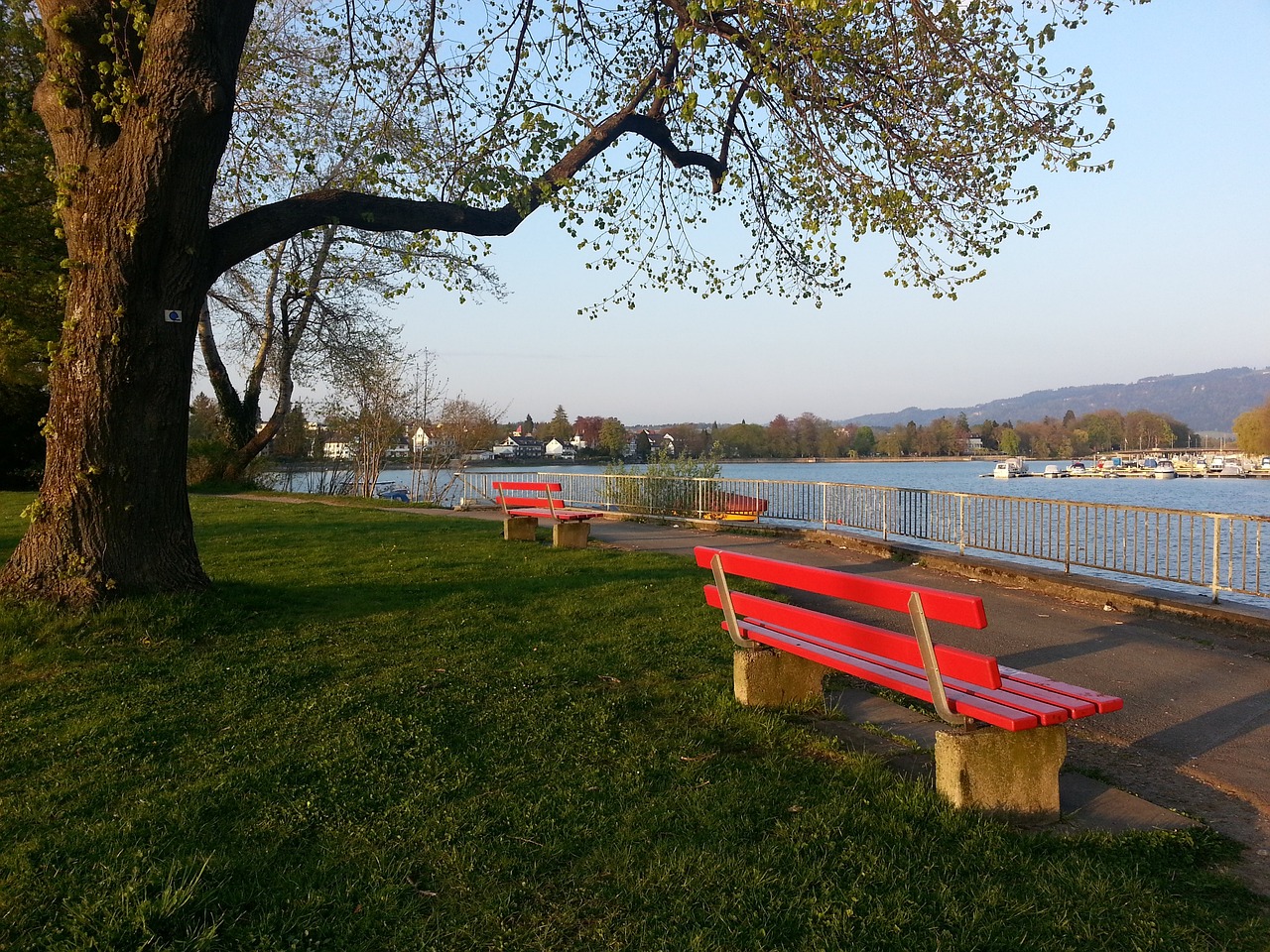 未來的日本隊監督鈴木一朗？　退休後立刻考上教練證照自律驚人.